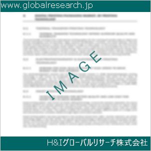 グローバルリサーチ調査資料のイメージ